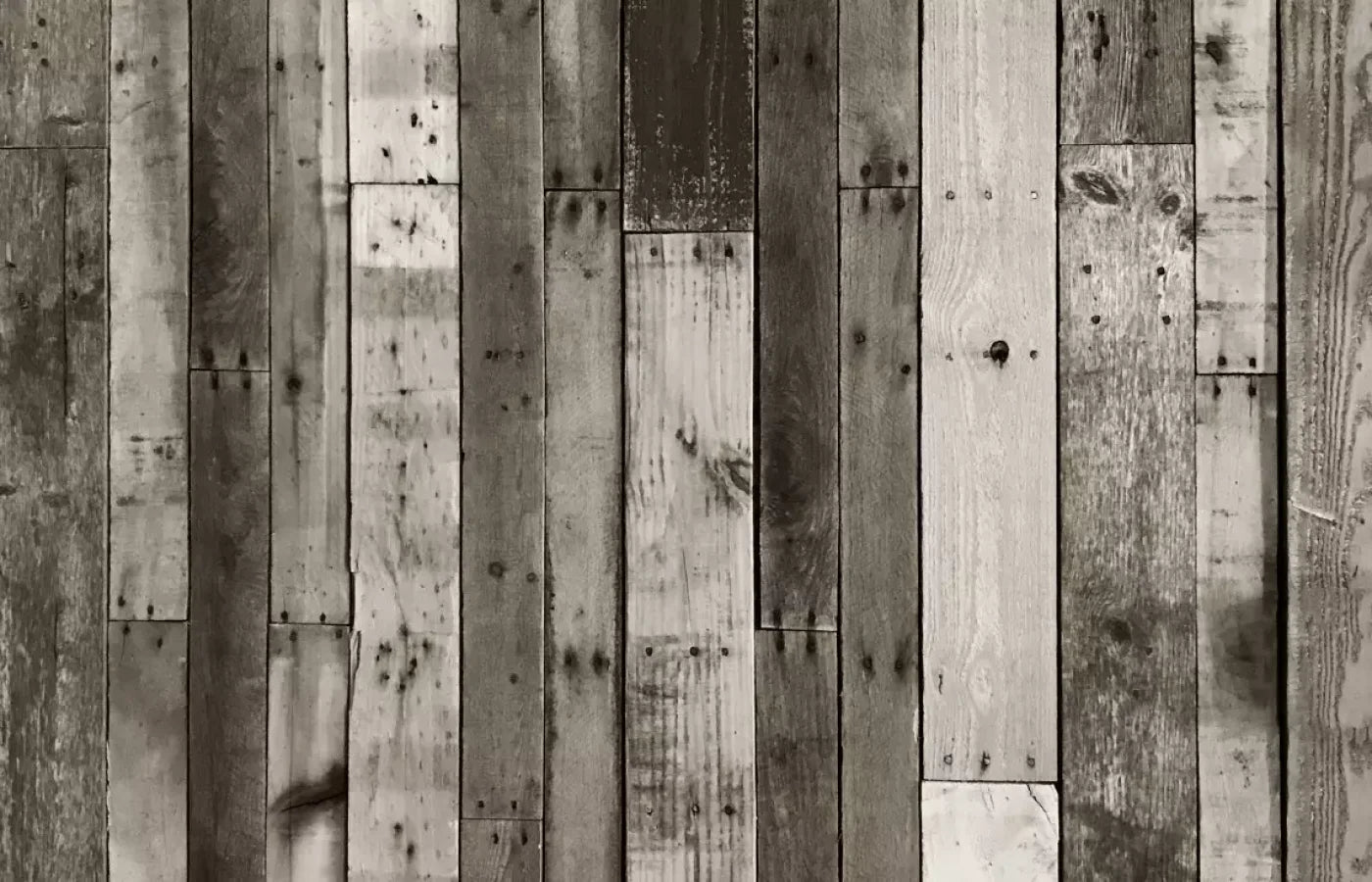 Minnesota 12X8 Ultracloth ( 144 X 96 Inch ) Backdrop