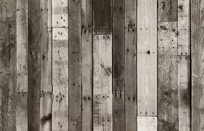 Minnesota 12X8 Ultracloth ( 144 X 96 Inch ) Backdrop