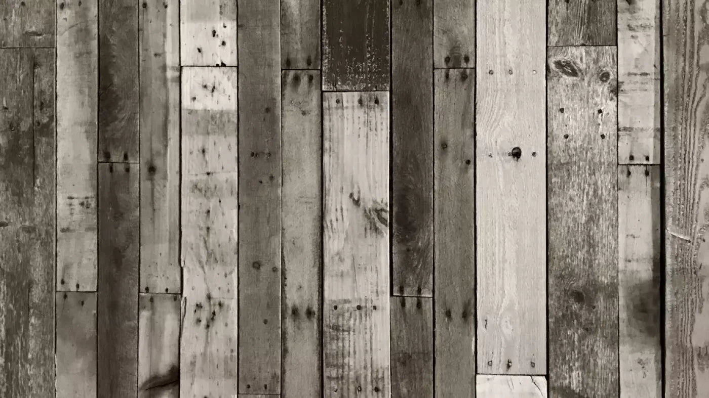 Minnesota 14X8 Ultracloth ( 168 X 96 Inch ) Backdrop