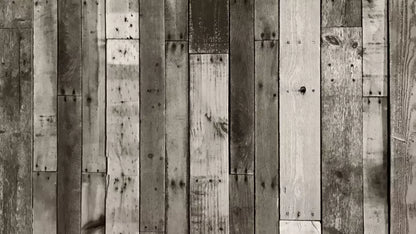 Minnesota 14X8 Ultracloth ( 168 X 96 Inch ) Backdrop