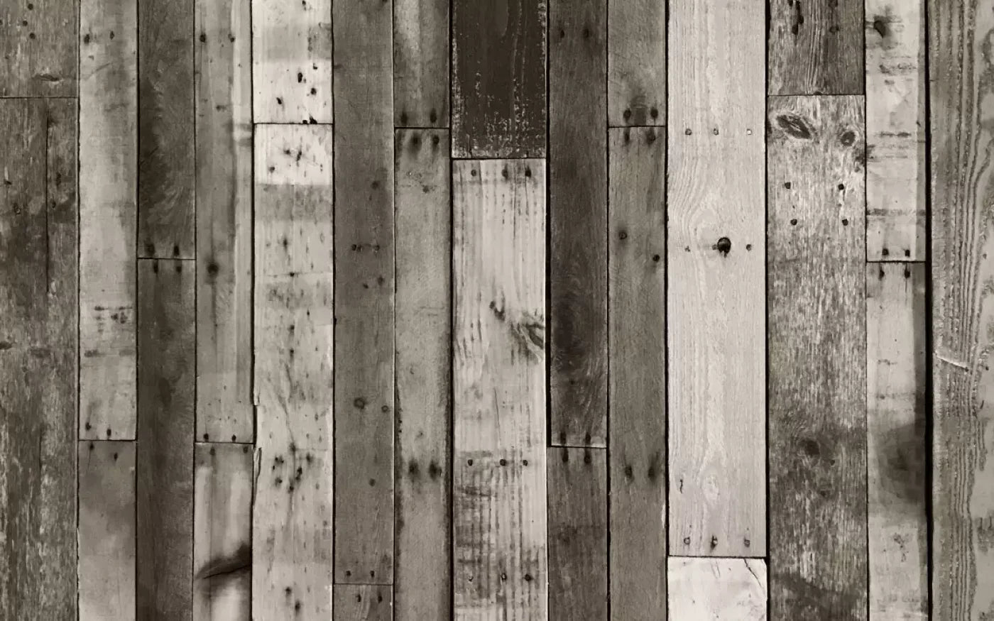 Minnesota 14X9 Ultracloth ( 168 X 108 Inch ) Backdrop