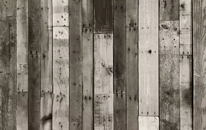 Minnesota 16X10 Ultracloth ( 192 X 120 Inch ) Backdrop