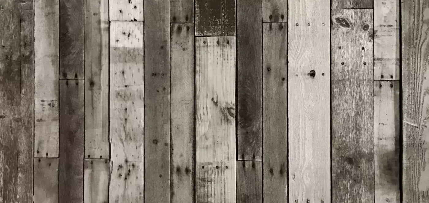 Minnesota 16X8 Ultracloth ( 192 X 96 Inch ) Backdrop