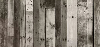 Minnesota 16X8 Ultracloth ( 192 X 96 Inch ) Backdrop