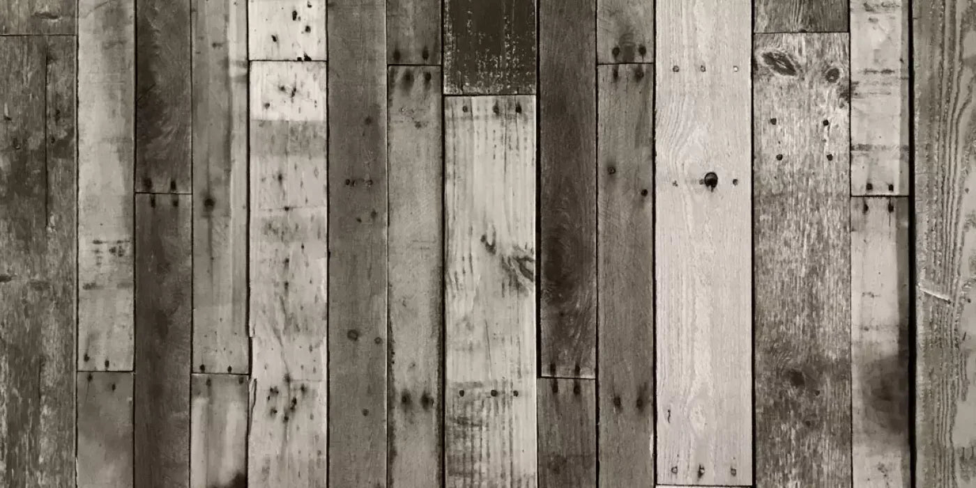 Minnesota 20X10 Ultracloth ( 240 X 120 Inch ) Backdrop