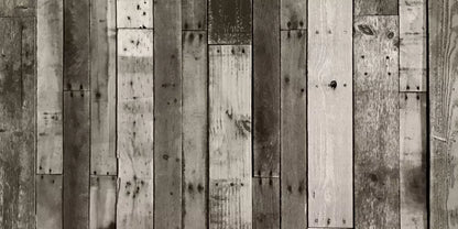 Minnesota 20X10 Ultracloth ( 240 X 120 Inch ) Backdrop