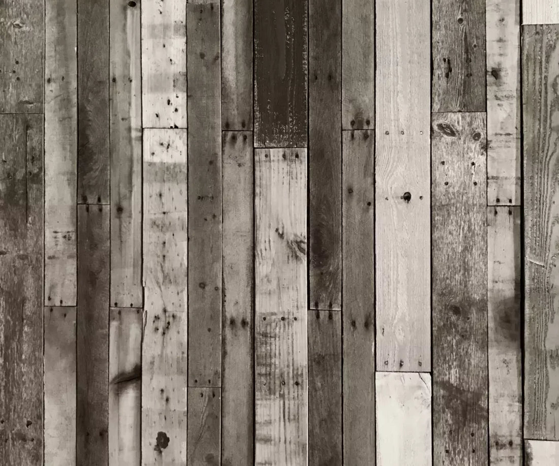 Minnesota 5X42 Fleece ( 60 X 50 Inch ) Backdrop