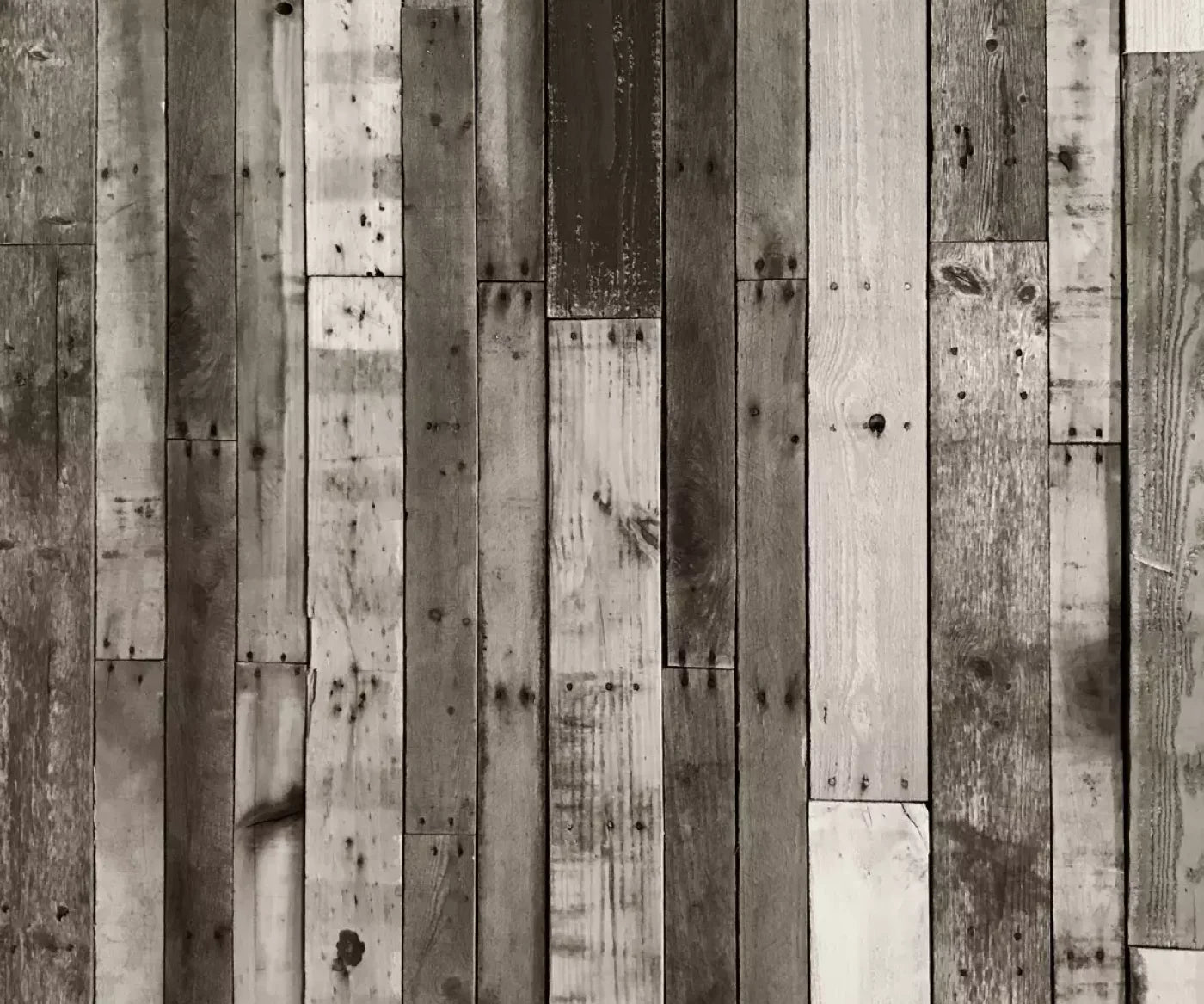 Minnesota 5X42 Fleece ( 60 X 50 Inch ) Backdrop