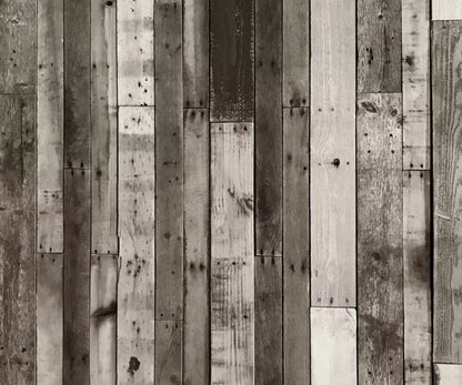 Minnesota 5X42 Fleece ( 60 X 50 Inch ) Backdrop