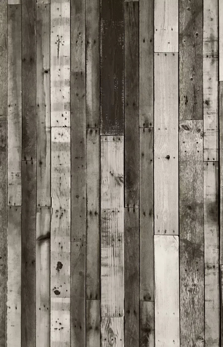 Minnesota 8X12 Ultracloth ( 96 X 144 Inch ) Backdrop