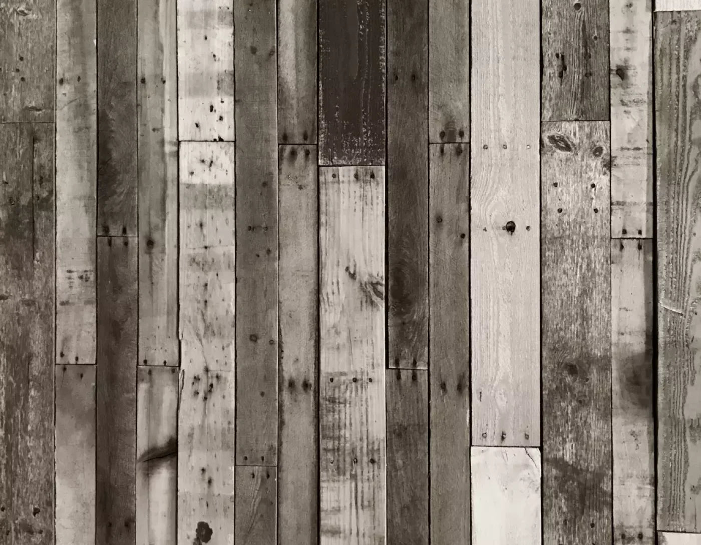 Minnesota 8X6 Fleece ( 96 X 72 Inch ) Backdrop