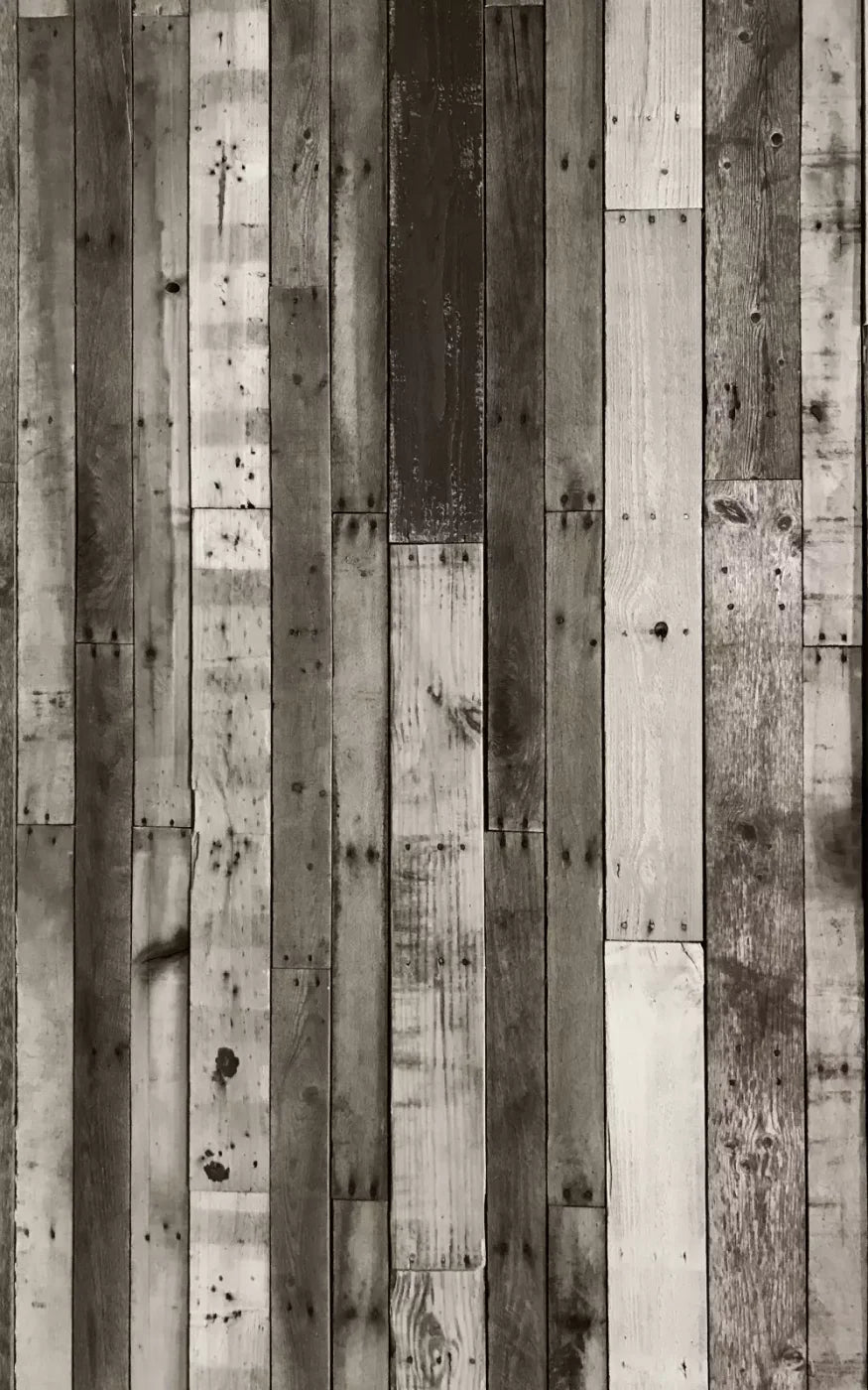 Minnesota 9X14 Ultracloth ( 108 X 168 Inch ) Backdrop