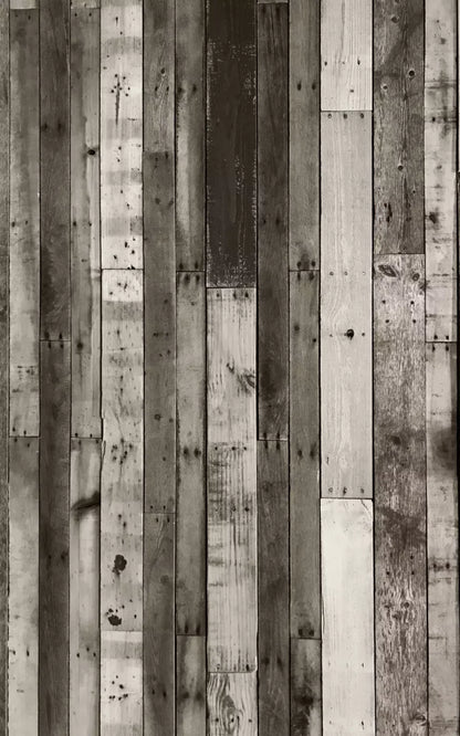 Minnesota 9X14 Ultracloth ( 108 X 168 Inch ) Backdrop