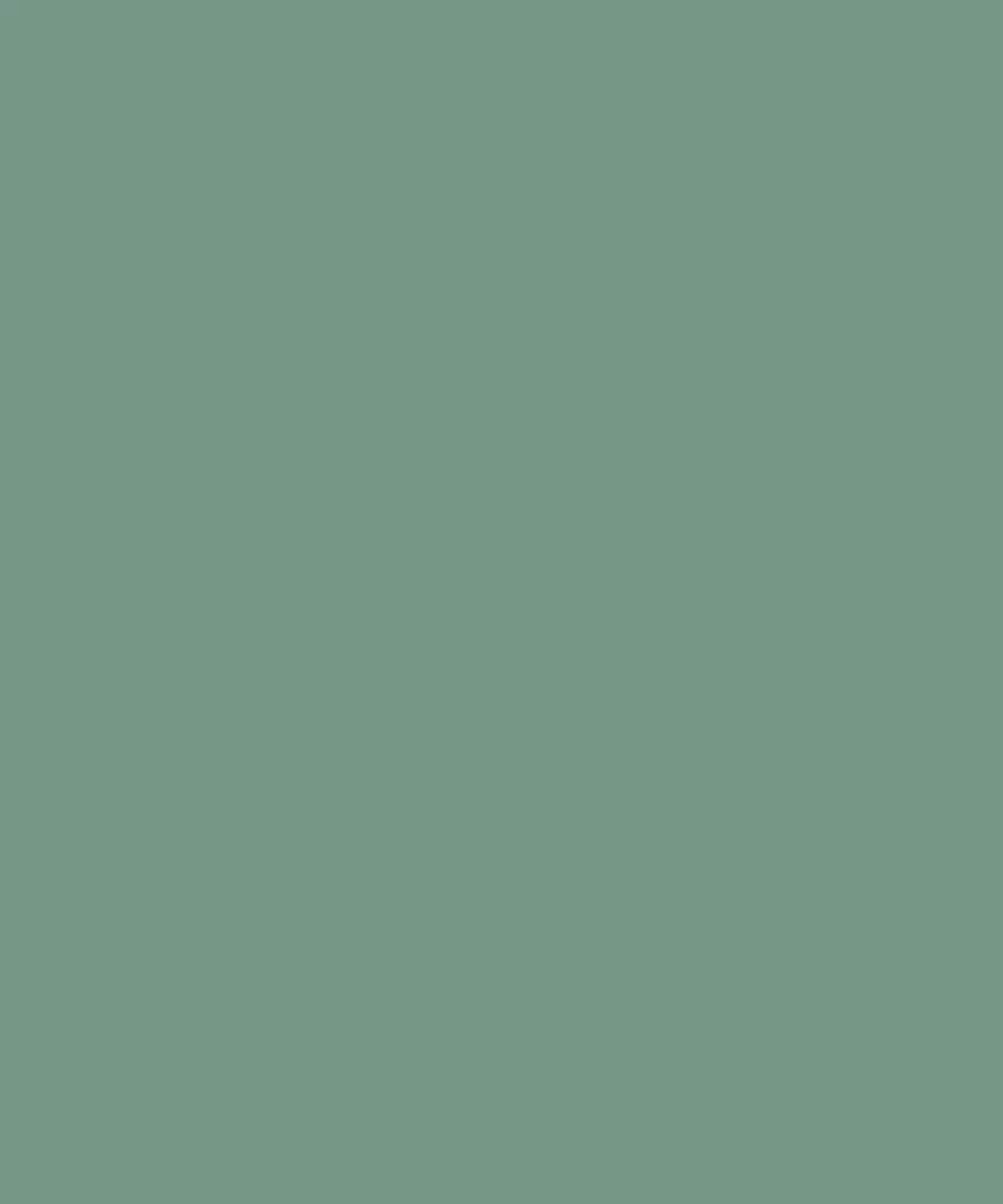 Mint Green Solid Color Backdrop for Photography