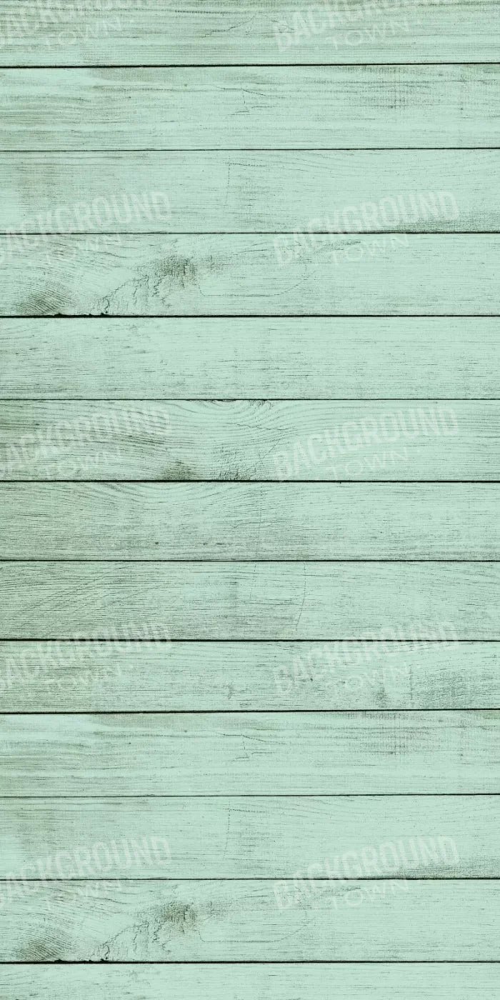 Mint Julep 10X20 Ultracloth ( 120 X 240 Inch ) Backdrop