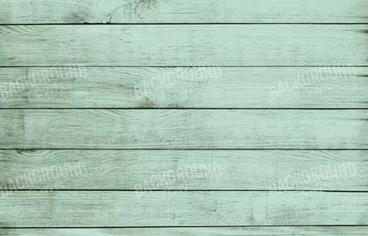 Mint Julep 12X8 Ultracloth ( 144 X 96 Inch ) Backdrop