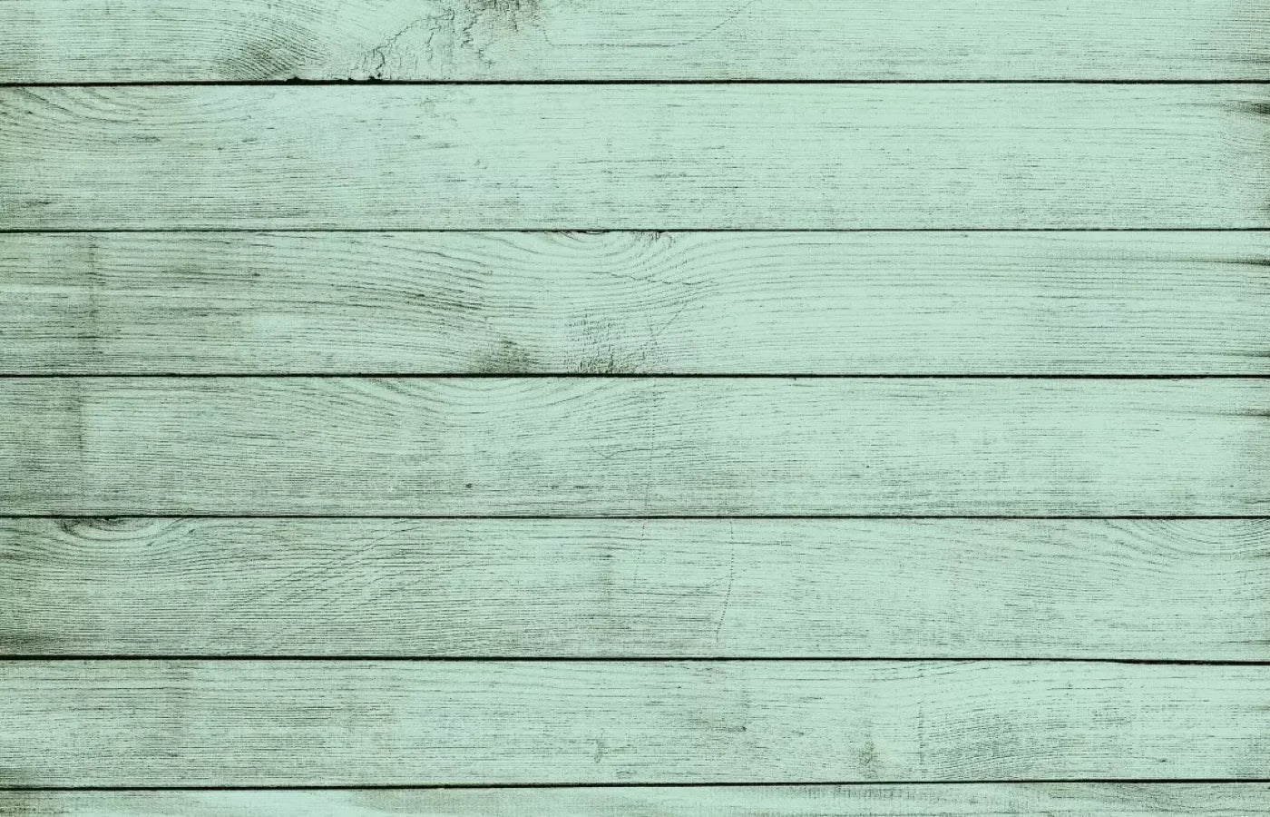 Mint Julep 12X8 Ultracloth ( 144 X 96 Inch ) Backdrop