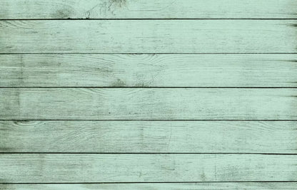 Mint Julep 12X8 Ultracloth ( 144 X 96 Inch ) Backdrop