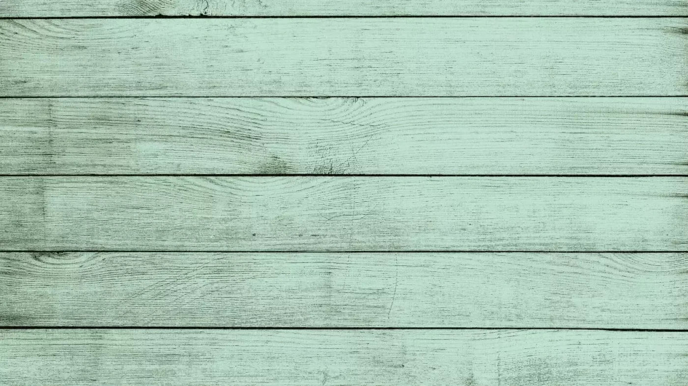 Mint Julep 14X8 Ultracloth ( 168 X 96 Inch ) Backdrop