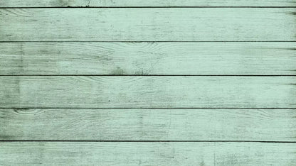 Mint Julep 14X8 Ultracloth ( 168 X 96 Inch ) Backdrop