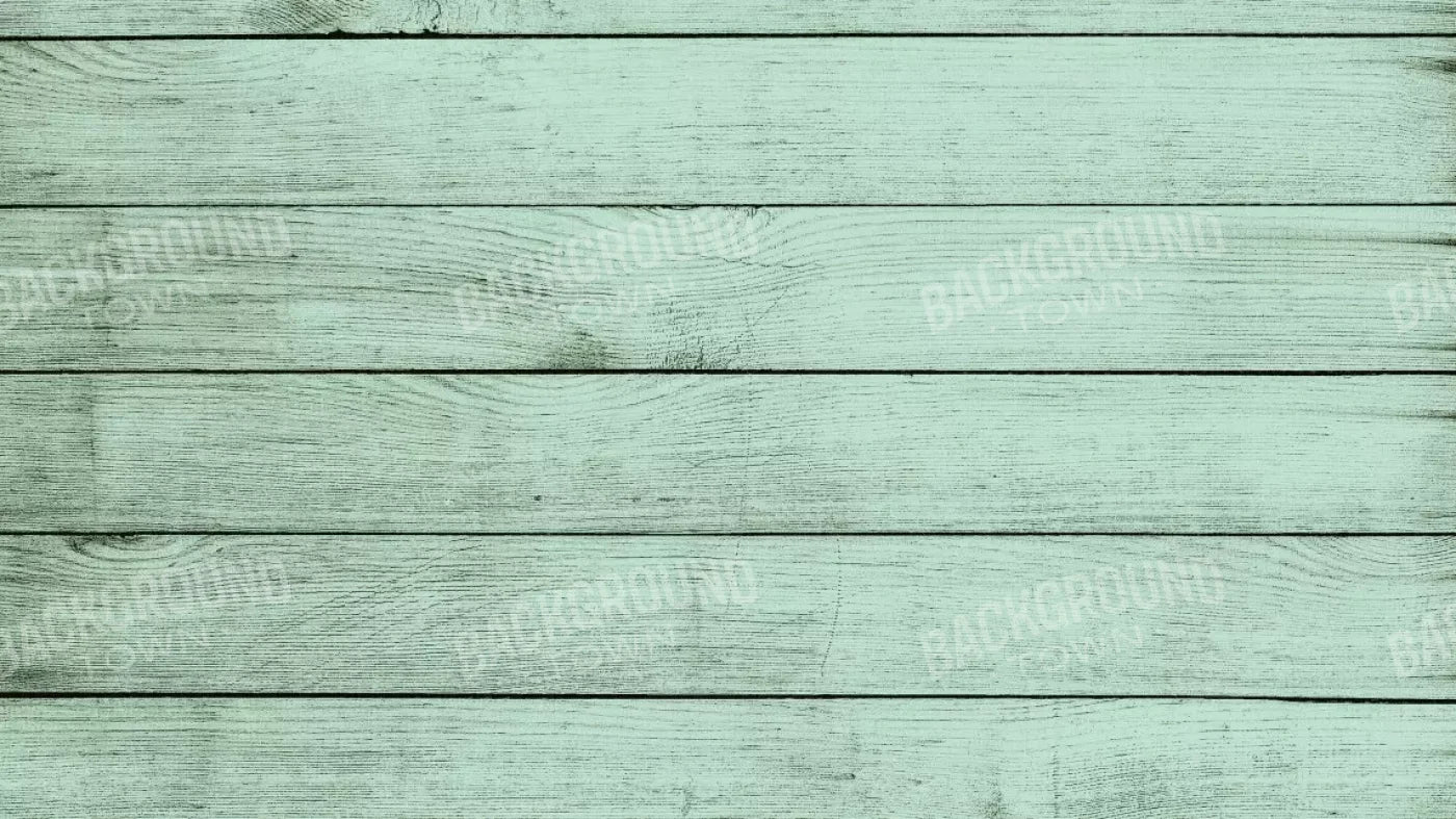 Mint Julep 14X8 Ultracloth ( 168 X 96 Inch ) Backdrop