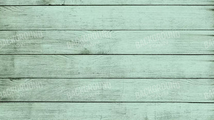 Mint Julep 14X8 Ultracloth ( 168 X 96 Inch ) Backdrop