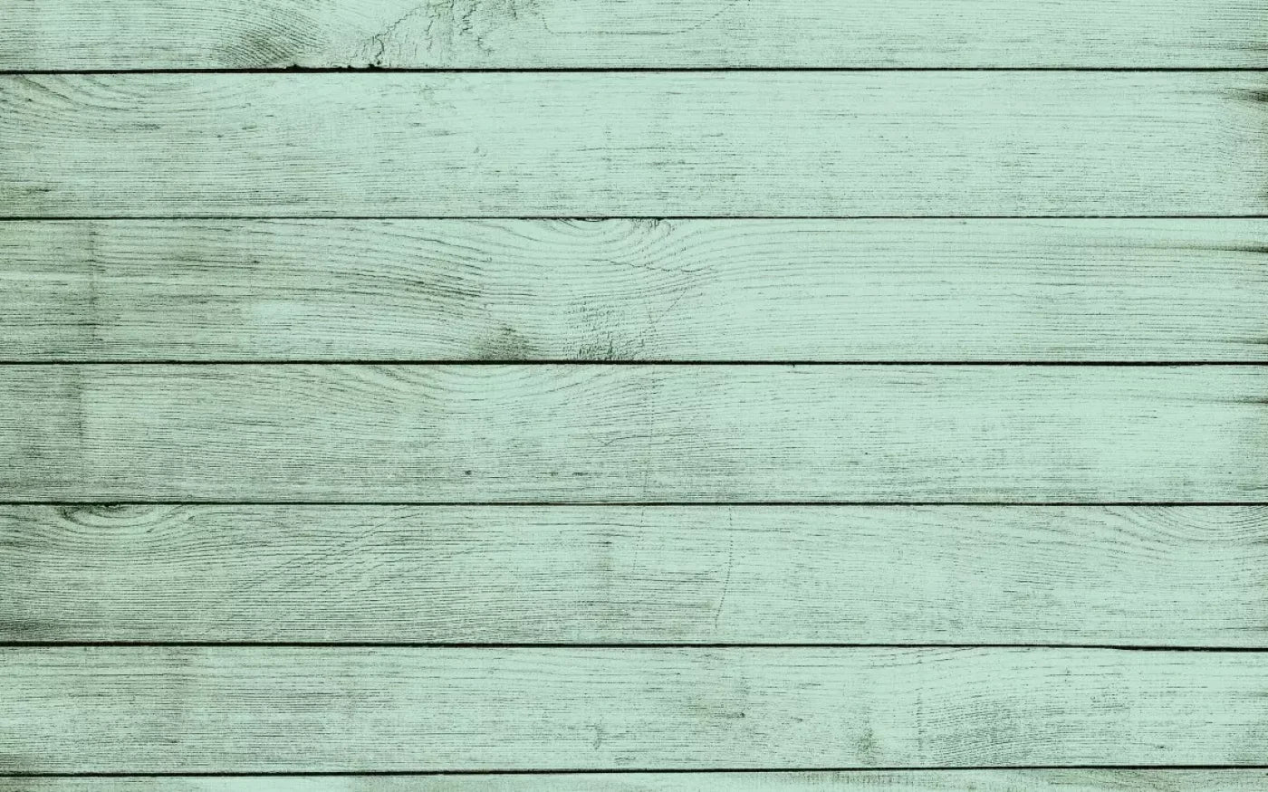 Mint Julep 14X9 Ultracloth ( 168 X 108 Inch ) Backdrop