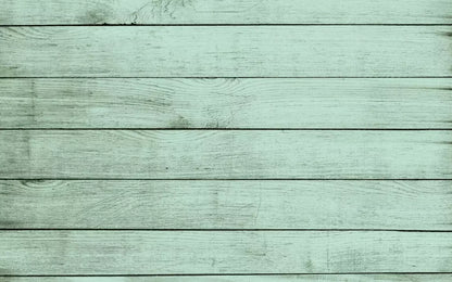 Mint Julep 14X9 Ultracloth ( 168 X 108 Inch ) Backdrop