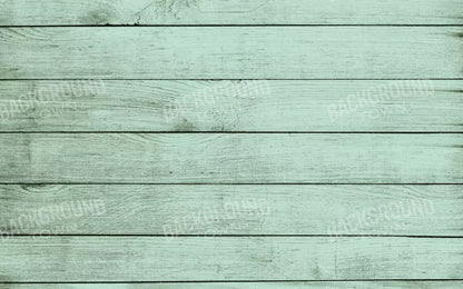 Mint Julep 14X9 Ultracloth ( 168 X 108 Inch ) Backdrop