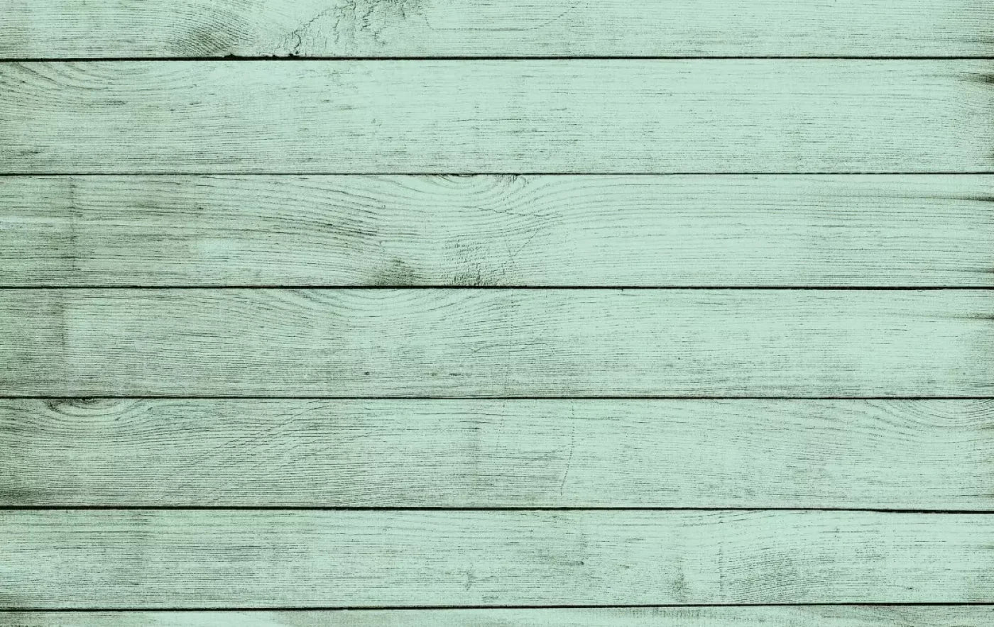 Mint Julep 16X10 Ultracloth ( 192 X 120 Inch ) Backdrop