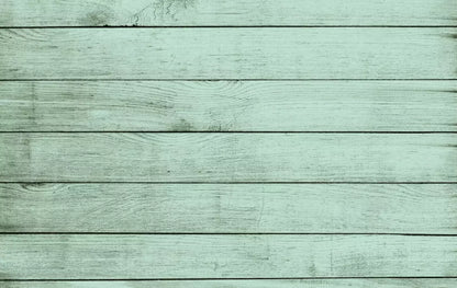 Mint Julep 16X10 Ultracloth ( 192 X 120 Inch ) Backdrop