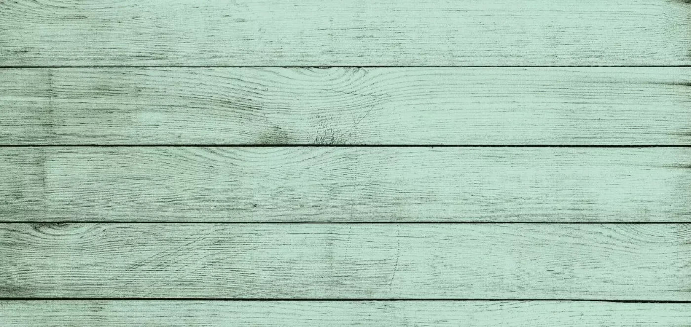 Mint Julep 16X8 Ultracloth ( 192 X 96 Inch ) Backdrop