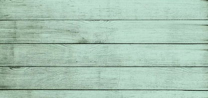 Mint Julep 16X8 Ultracloth ( 192 X 96 Inch ) Backdrop