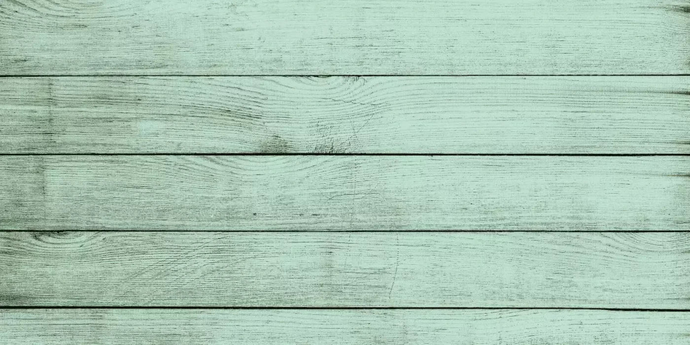Mint Julep 20X10 Ultracloth ( 240 X 120 Inch ) Backdrop