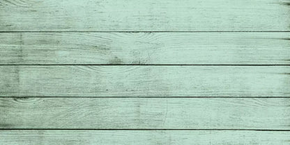 Mint Julep 20X10 Ultracloth ( 240 X 120 Inch ) Backdrop