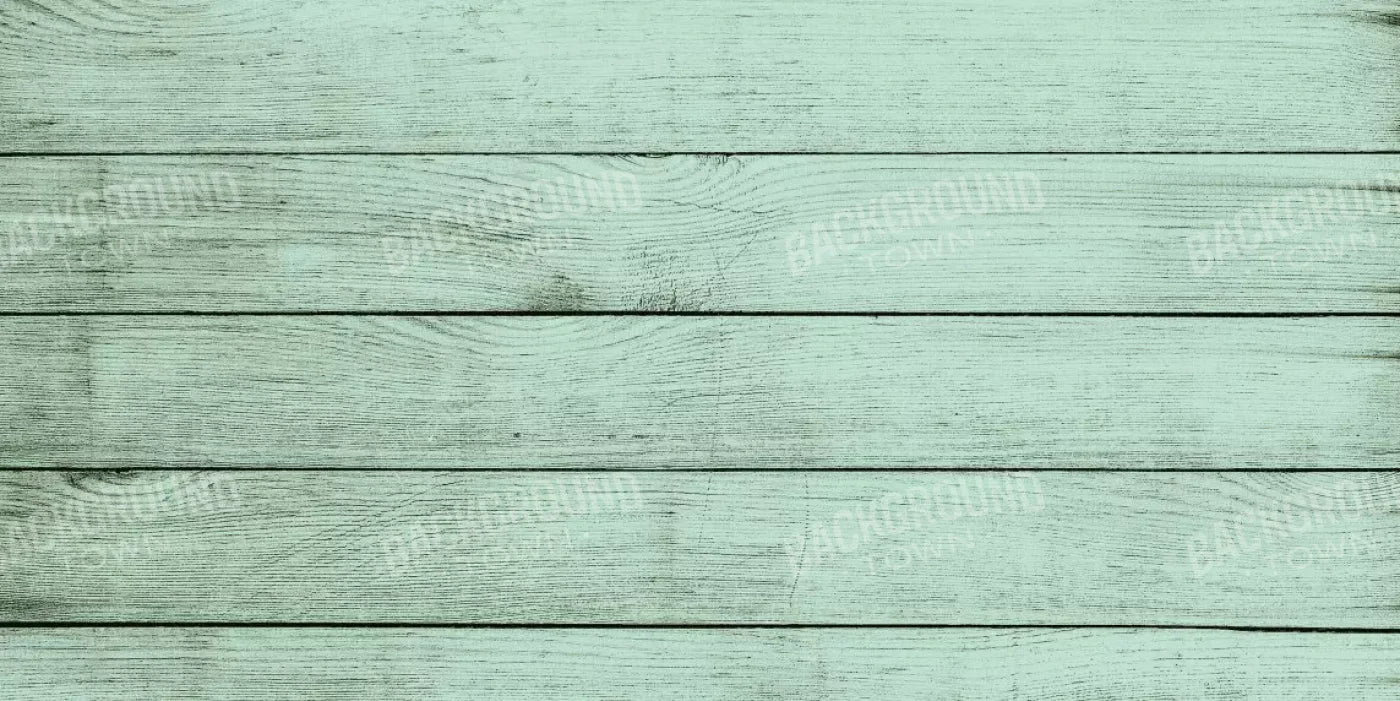 Mint Julep 20X10 Ultracloth ( 240 X 120 Inch ) Backdrop