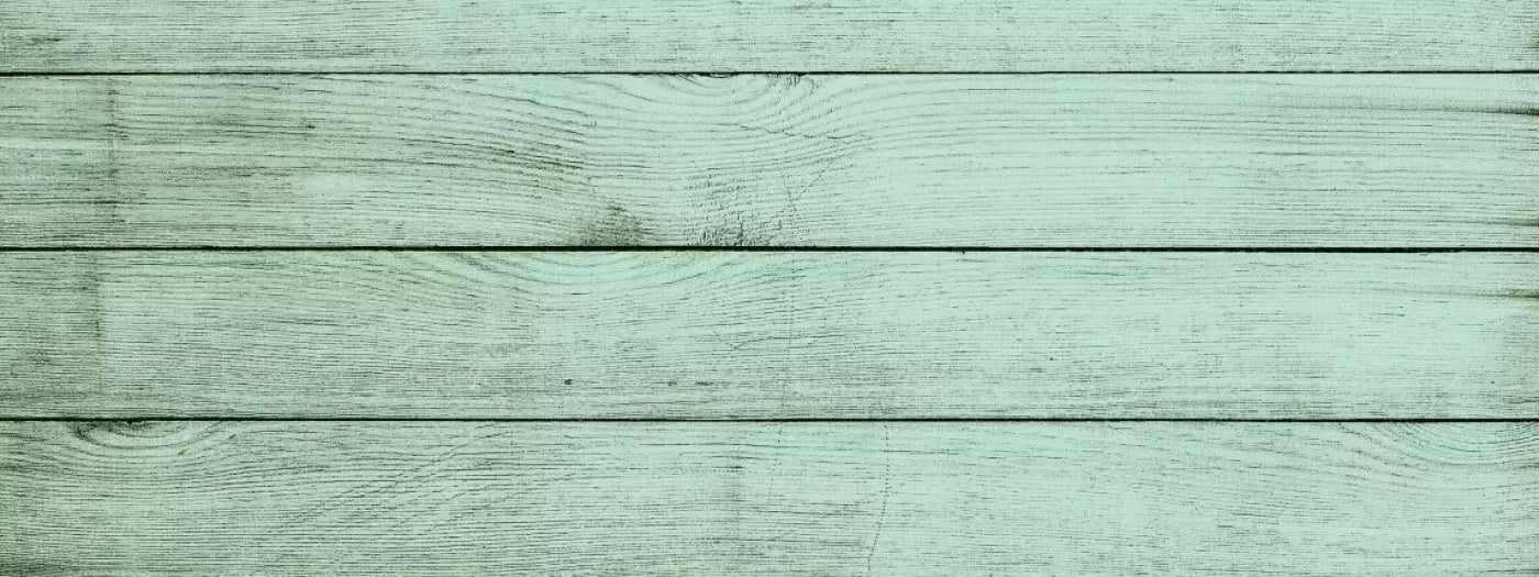 Mint Julep 20X8 Ultracloth ( 240 X 96 Inch ) Backdrop