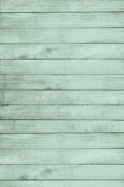 Mint Julep 5X8 Ultracloth ( 60 X 96 Inch ) Backdrop