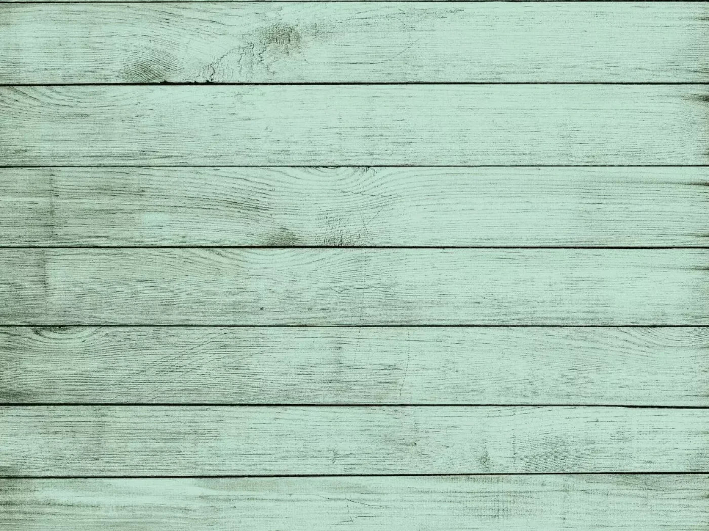 Mint Julep 68X5 Fleece ( 80 X 60 Inch ) Backdrop