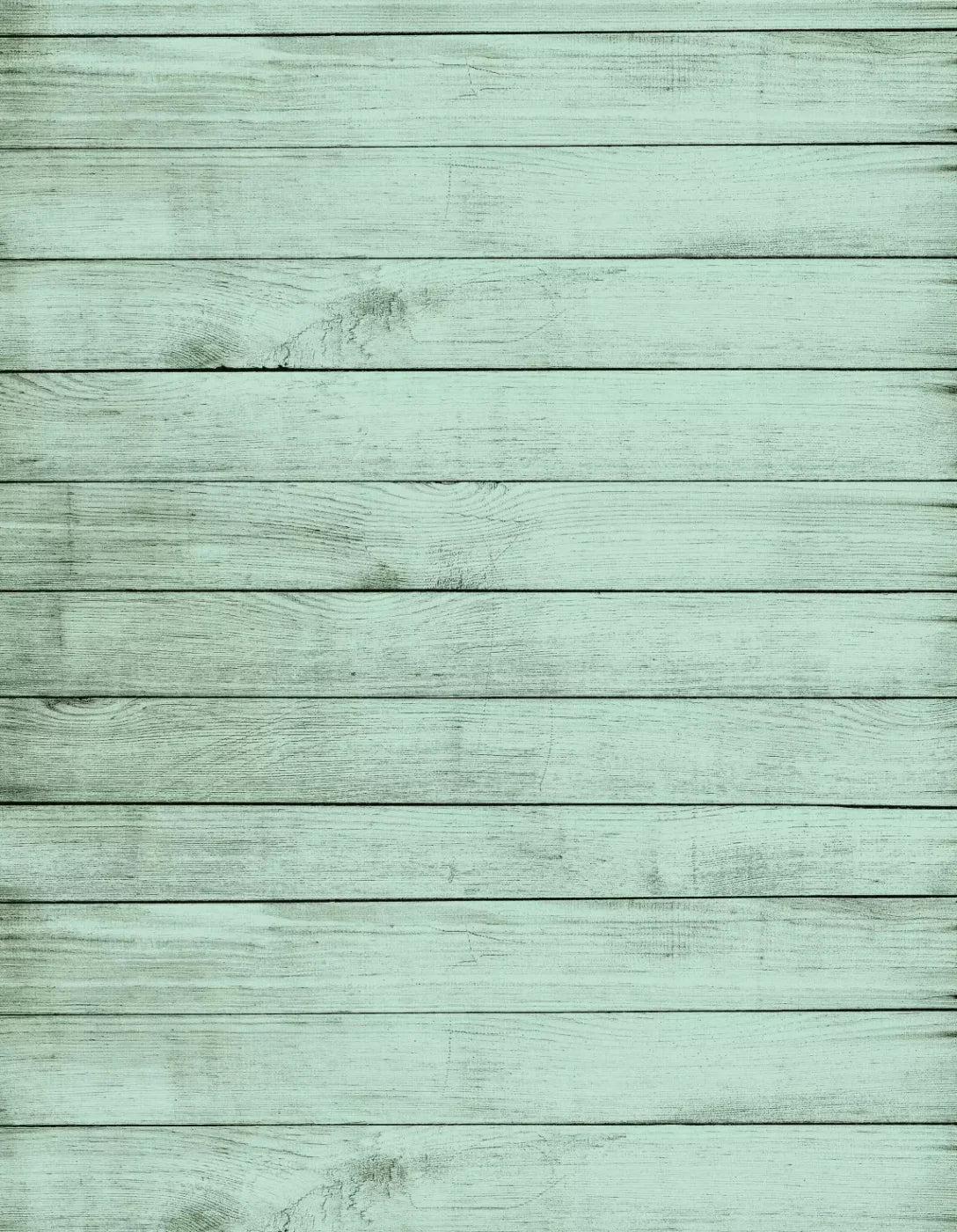 Mint Julep 6X8 Fleece ( 72 X 96 Inch ) Backdrop