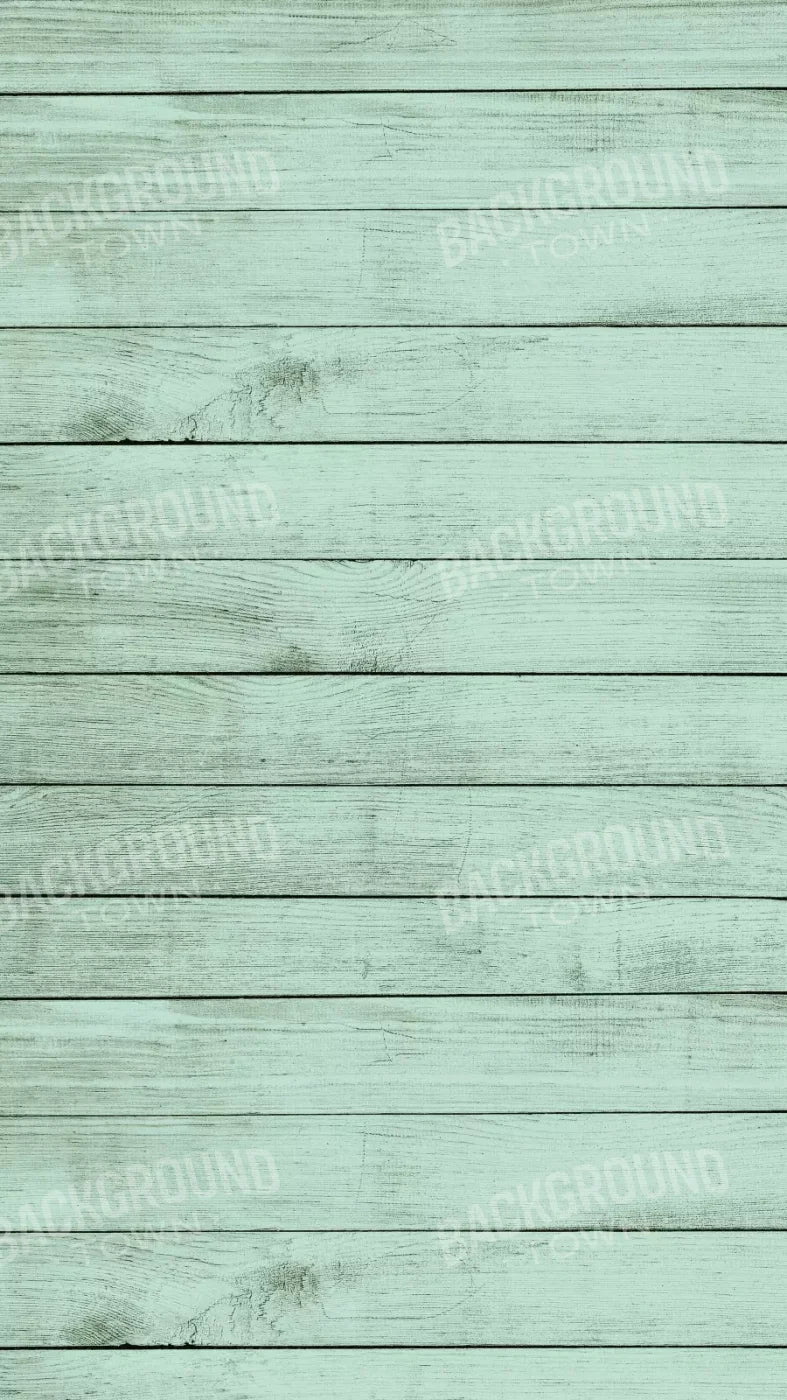 Mint Julep 8X14 Ultracloth ( 96 X 168 Inch ) Backdrop