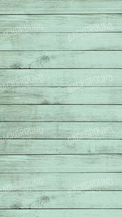 Mint Julep 8X14 Ultracloth ( 96 X 168 Inch ) Backdrop