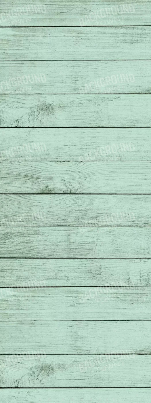 Mint Julep 8X20 Ultracloth ( 96 X 240 Inch ) Backdrop