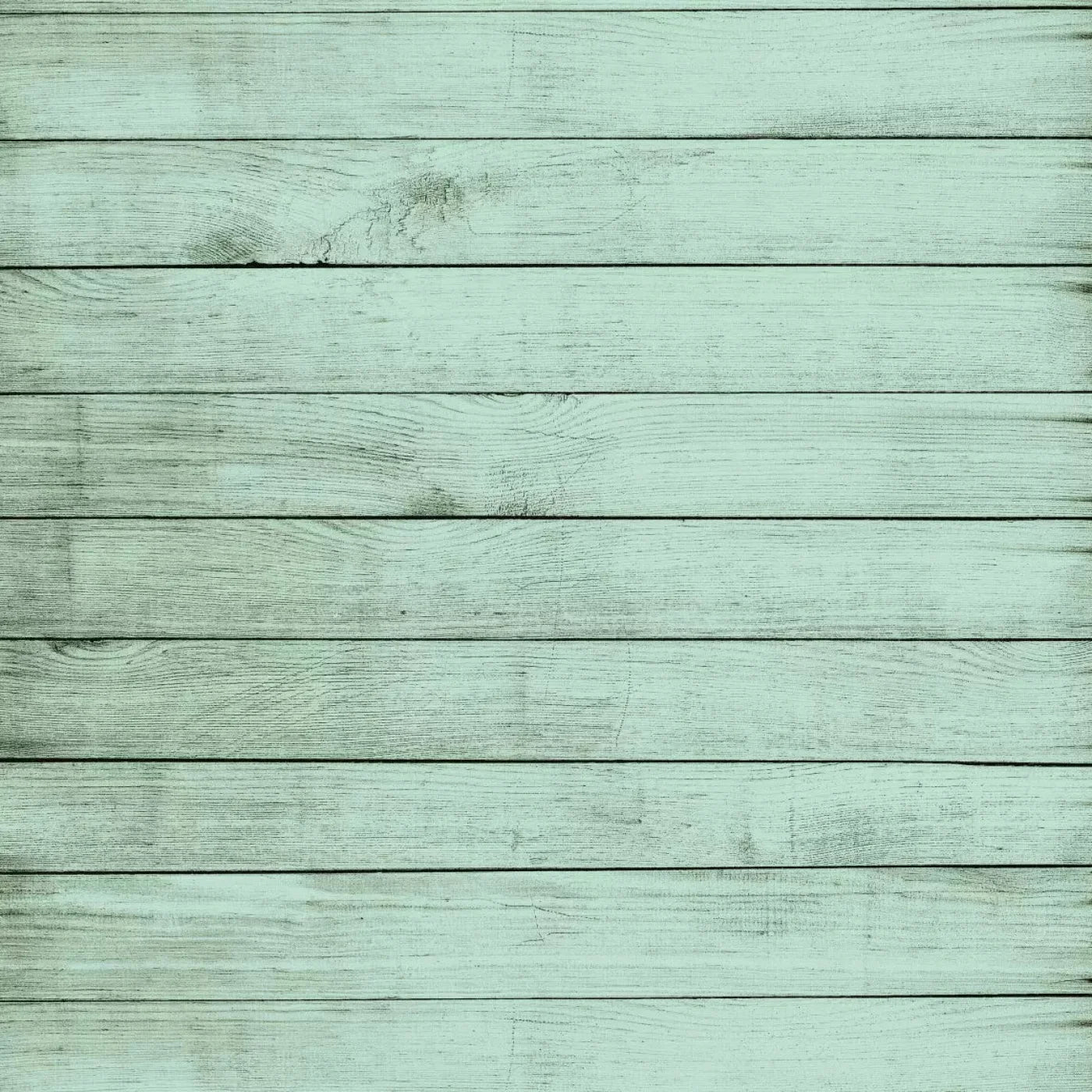 Mint Julep 8X8 Fleece ( 96 X Inch ) Backdrop
