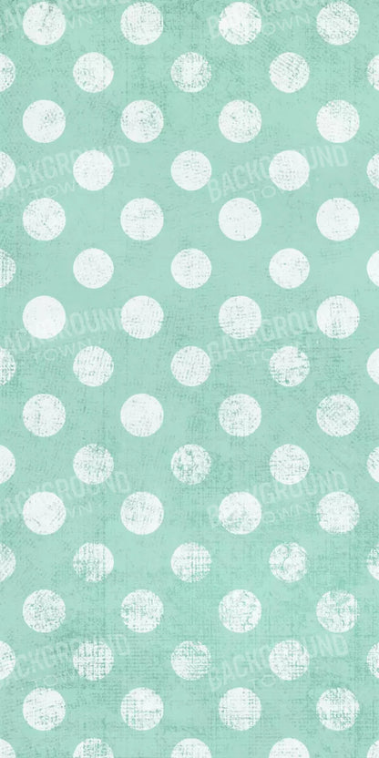 Mint To Be 10X20 Ultracloth ( 120 X 240 Inch ) Backdrop