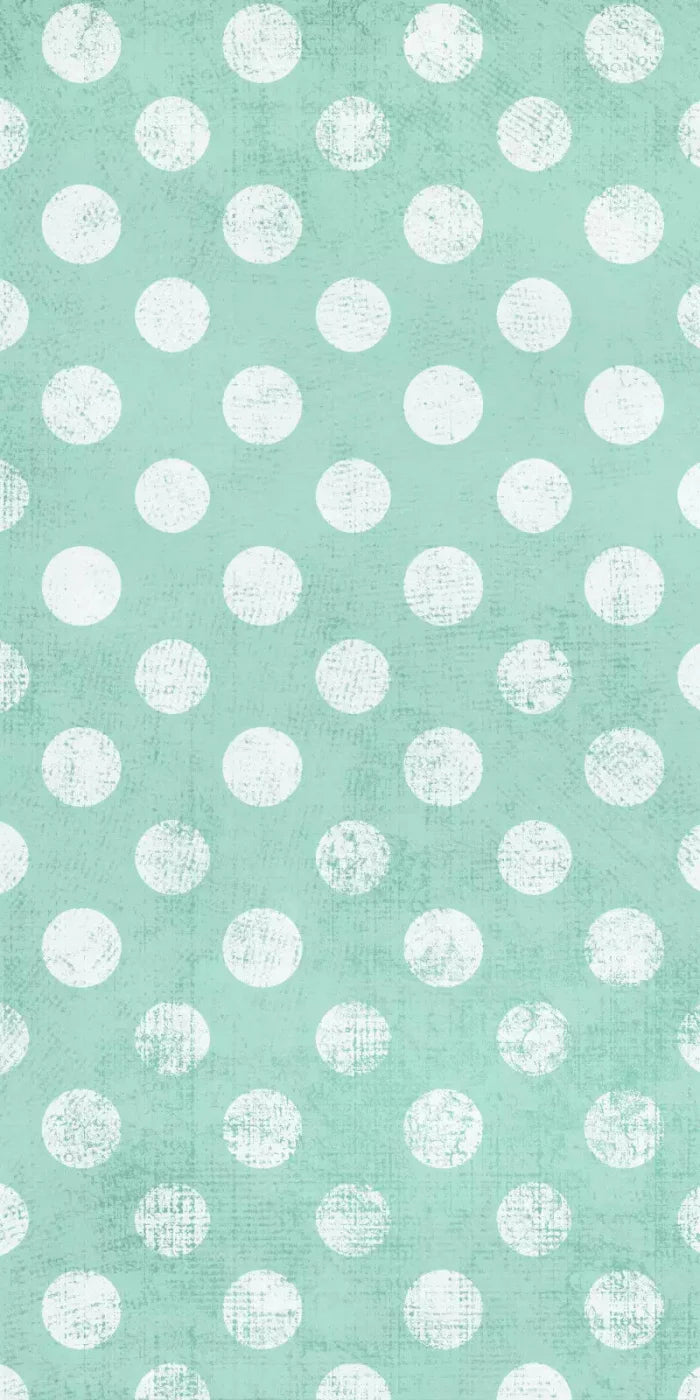 Mint To Be 10X20 Ultracloth ( 120 X 240 Inch ) Backdrop