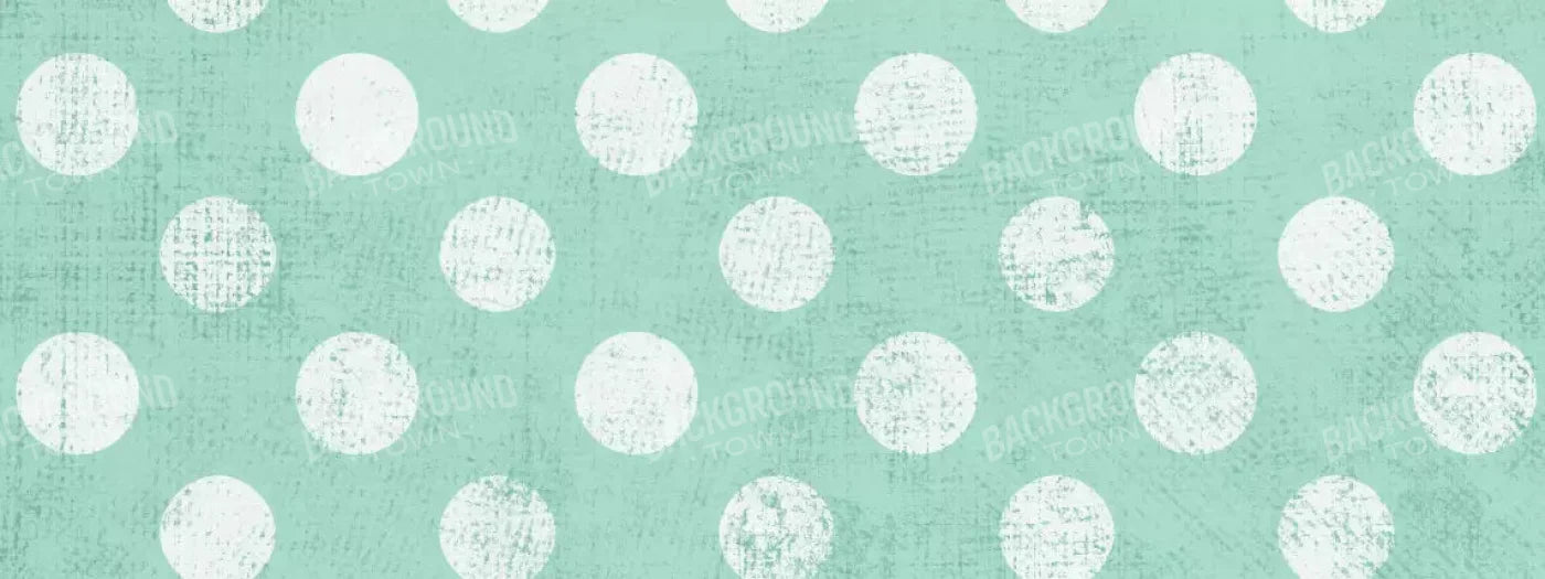 Mint To Be 20X8 Ultracloth ( 240 X 96 Inch ) Backdrop