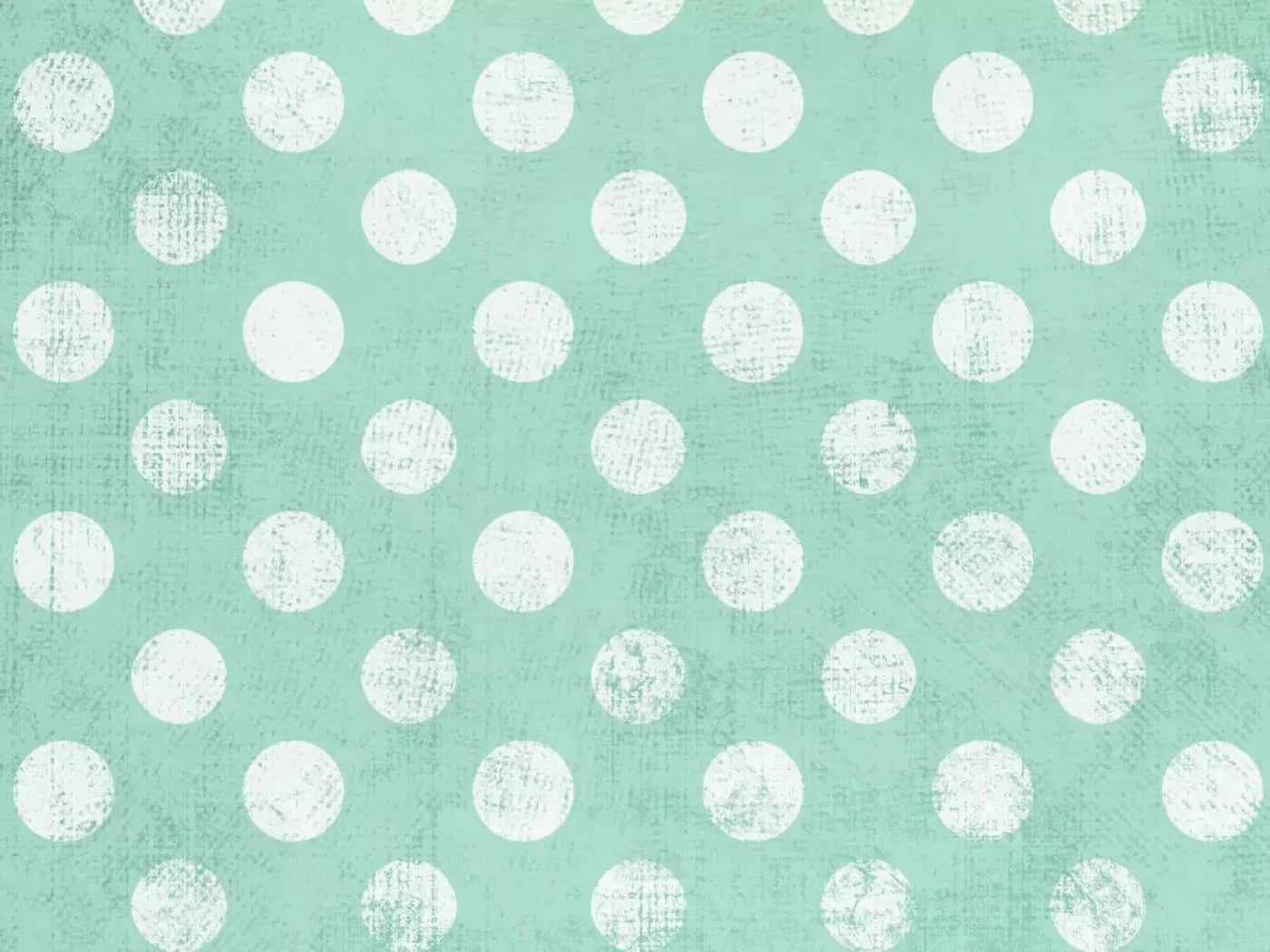 Mint To Be 68X5 Fleece ( 80 X 60 Inch ) Backdrop