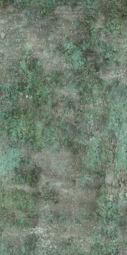 Minted 10X20 Ultracloth ( 120 X 240 Inch ) Backdrop