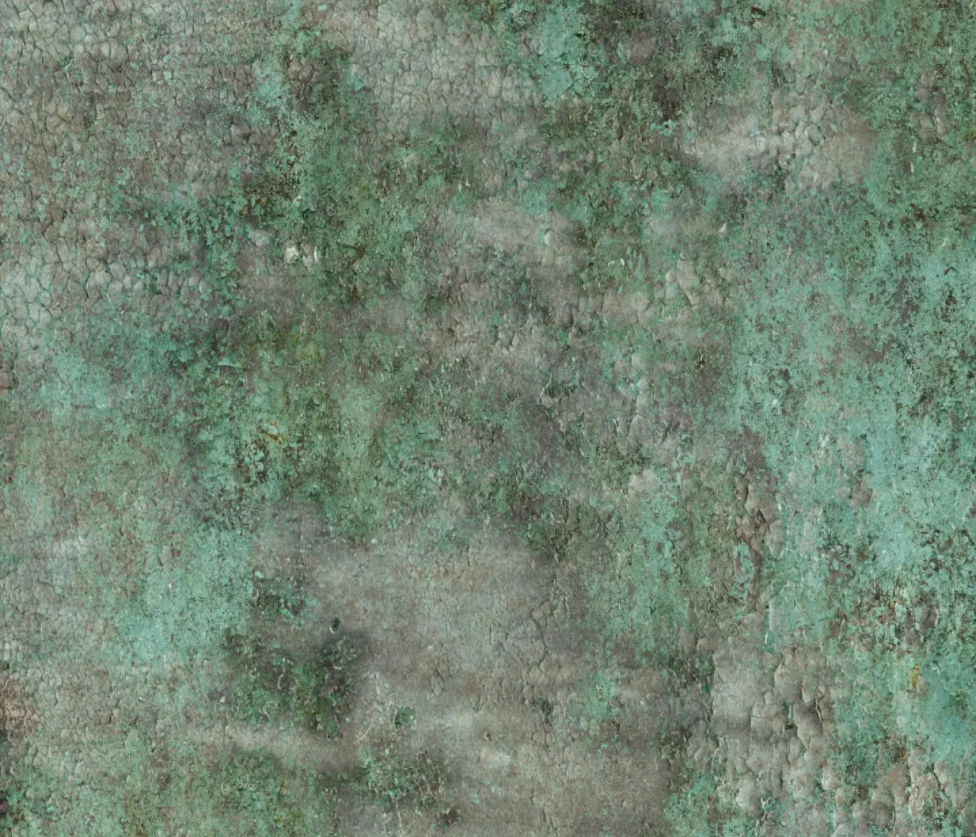 Minted 12X10 Ultracloth ( 144 X 120 Inch ) Backdrop